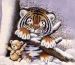 Tiger Cub & Teddy 4